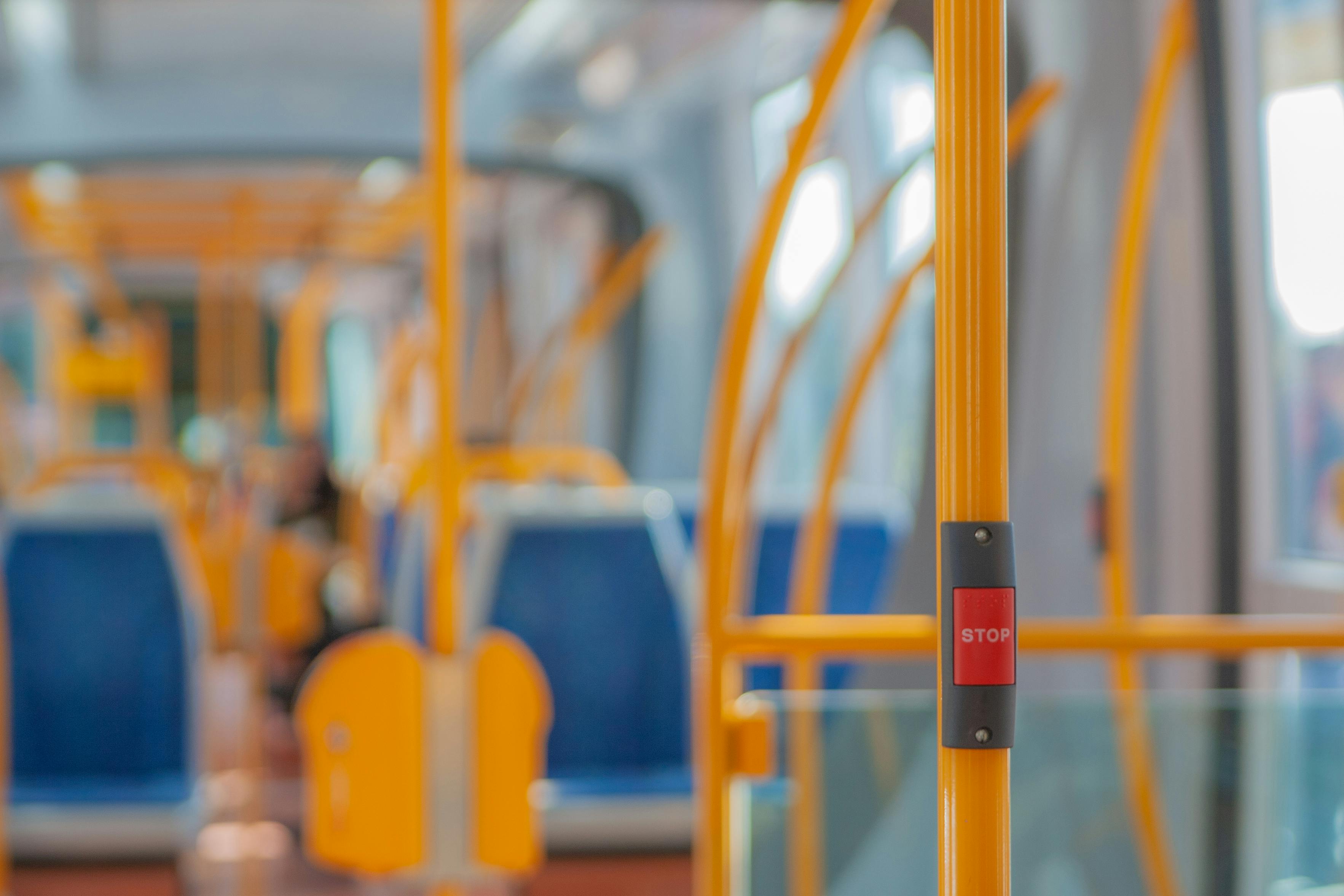 pexels-will-mu-3802736