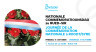 251017 Commemoratiounsdag FB