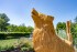 Wollefswee_Web-51