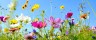 AdobeStock_157514845