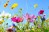 AdobeStock_157514845